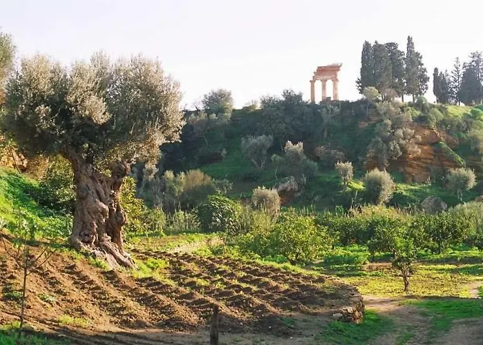 Daire Dimora Dei Greci *